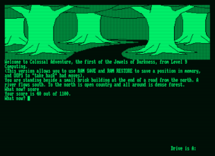 Colossal Adventure on Amstrad PCW
